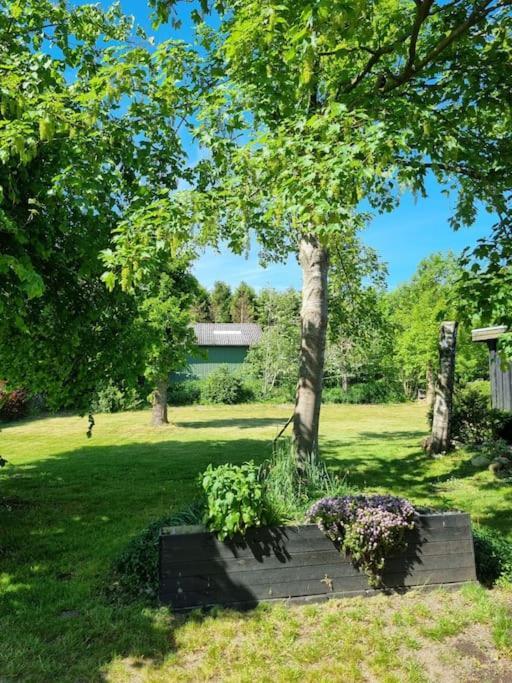 Willkommen In Frifelt Naehe Romo Mit Wunderschoenen Garten Skærbæk Zewnętrze zdjęcie